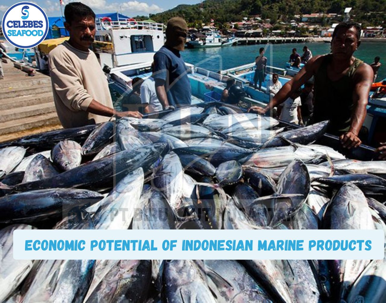 These Are The Economic Potential of Indonesian Marine Products
